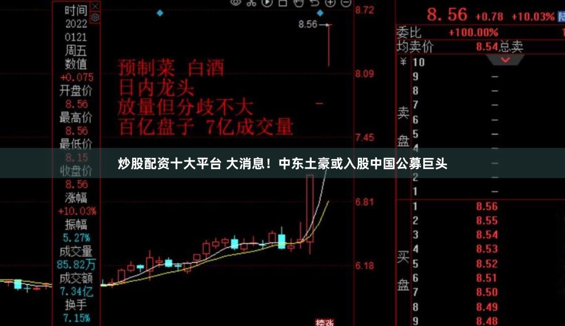 炒股配资十大平台 大消息！中东土豪或入股中国公募巨头